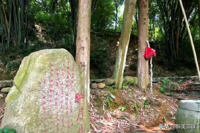 夏崃｜“果然！一代人有一代人的‘鸡蛋’要领！”