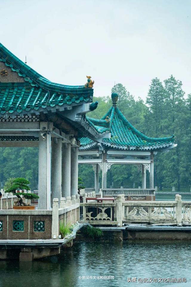 狂降10℃，武汉最凉快的一周，这样玩