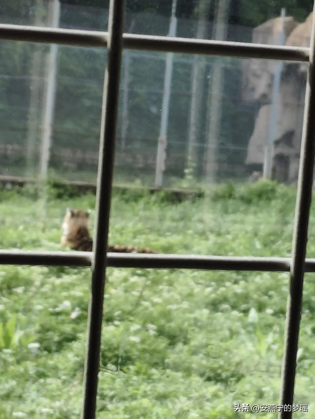 长春之行