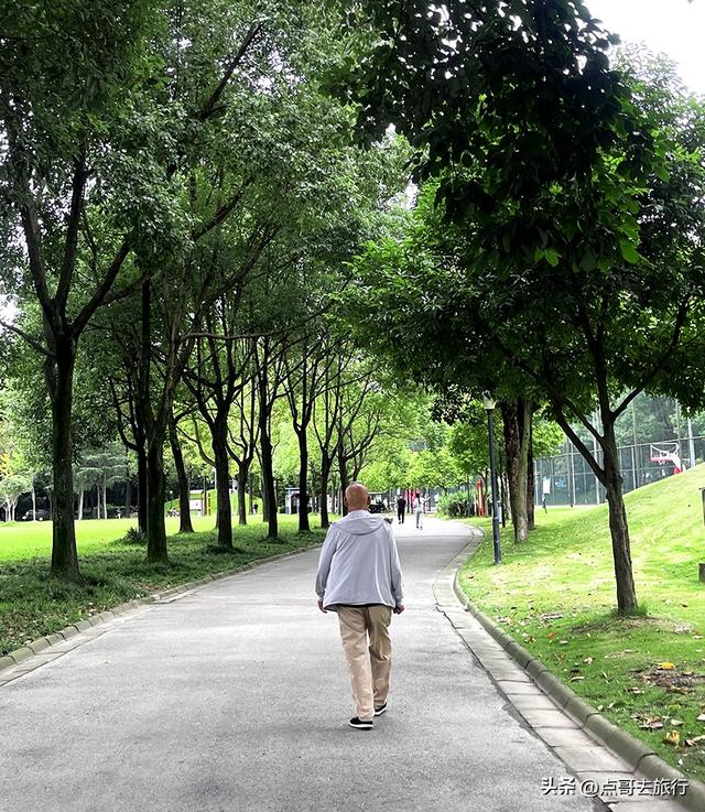 成都公园难得一见的旷野之景，画面超级唯美，地铁公交到达！