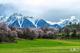 真正能干大事、赚大钱的女人，往往有10个特质图片