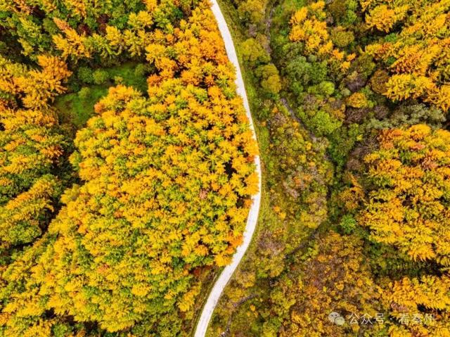 镜瞰秦州·悦秋