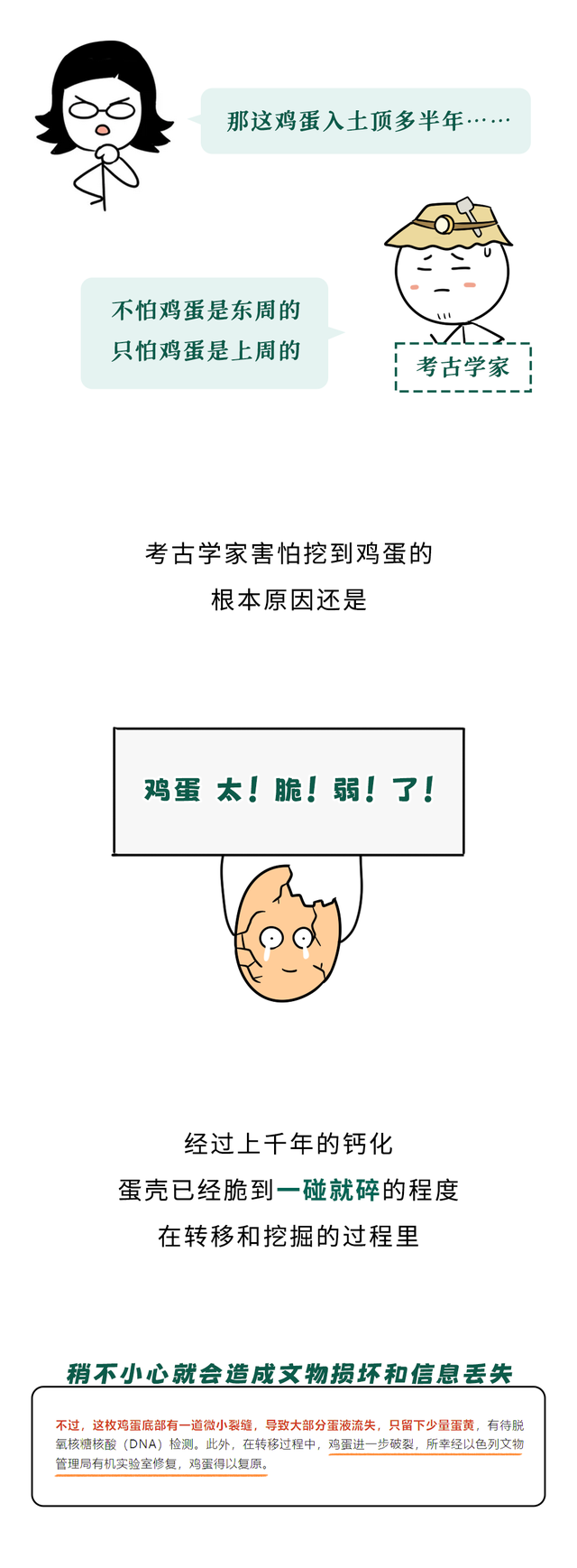 为什么考古学家最害怕挖到鸡蛋？