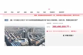 好消息！鞍山海城这个烂尾的大型商业综合体拍卖，被人2.6亿接盘图片