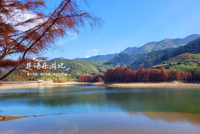 浙江绍兴的网红水库，因红杉胜境而出圈，具体怎么游请看详细攻略