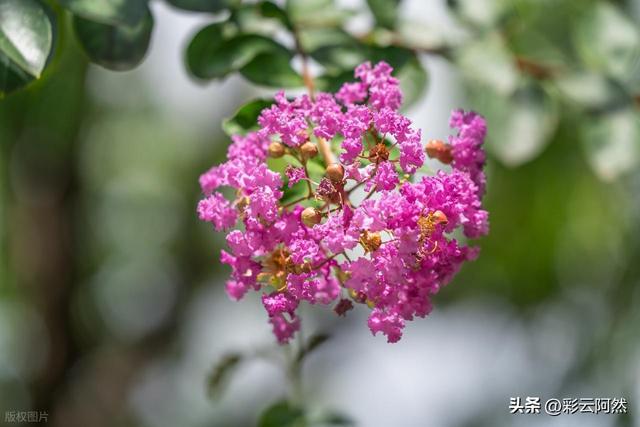 大范围冷空气来袭！多地降温超10℃，明日9月16~17号强降水将展开