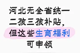 二孩家庭赚了！河北偷偷给的这些福利，很多人还不知道图片