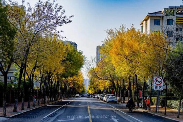 “焦糖色秘境”上线！超级出片！日照这里错过再等一年！