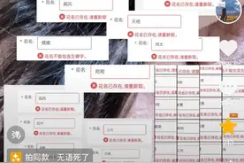 互联网大厂，花名不能停图片