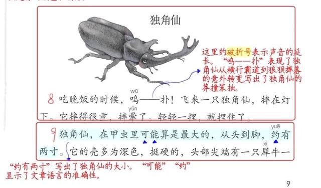 人教版,三年级语文下册第四课《昆虫备忘录》预习