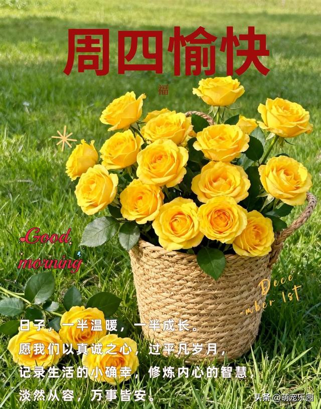 冬日清晨光线钻窗缝，那份温暖轻抚心房，让光明走进你的世界