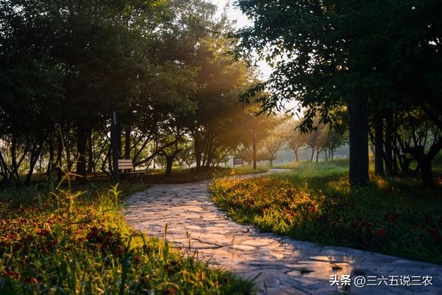 “上午处暑凉嗖嗖，下午处暑热得哭”，今年处暑在几点？答案来了