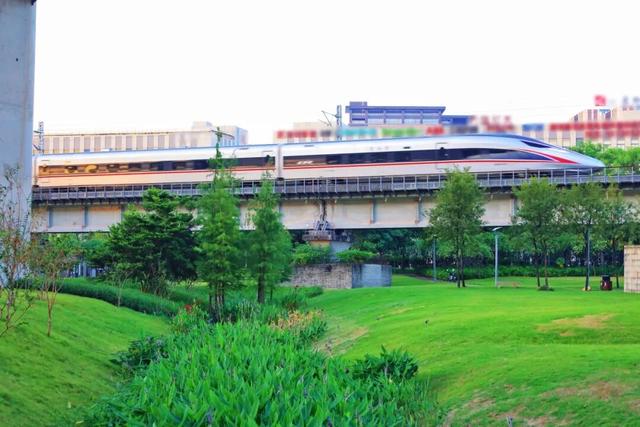 三条高铁并行！桥下还有“宝藏”，等你发现！