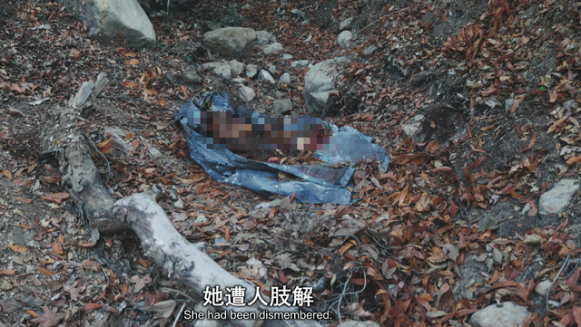 我怀疑，这部片来自暗网