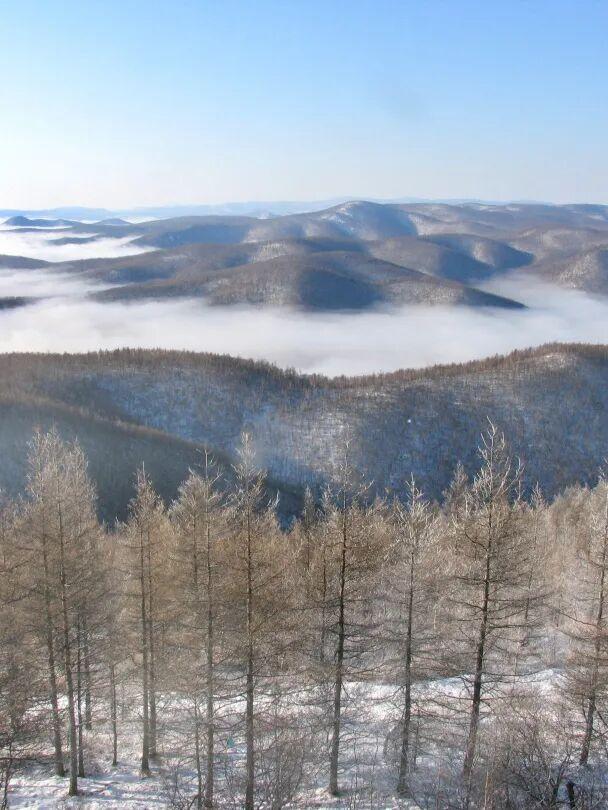 呼伦贝尔醉美初冬