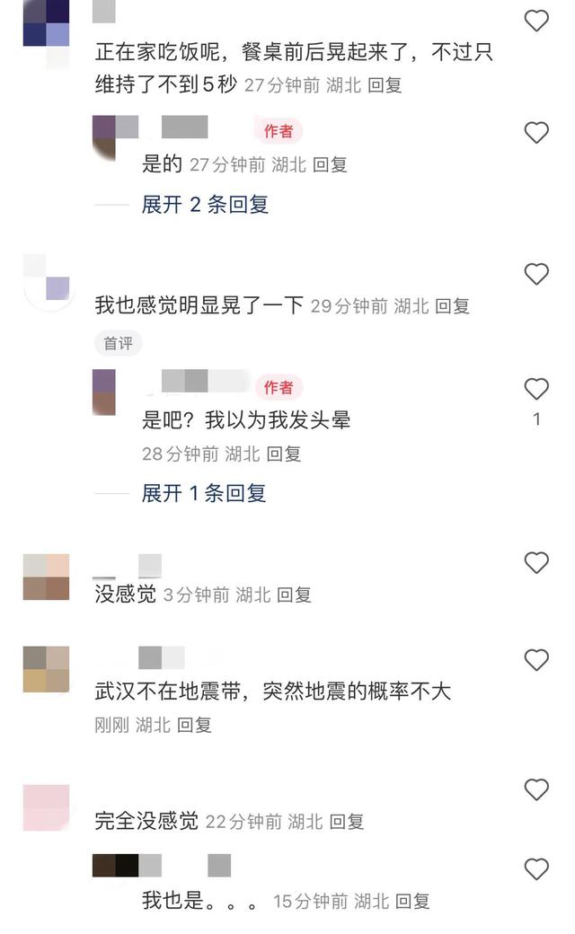 网友称武汉白沙洲有震感 应急局回应