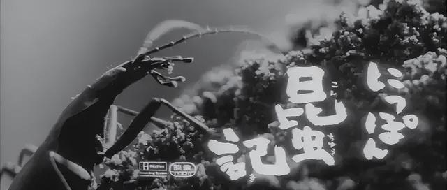 两夺金棕榈，亚洲没别人了