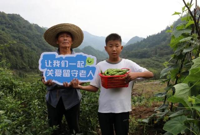 “山村收菜计划”再升级！杭城一批亲子家庭上周末驱车200公里赶到这个海拔600多米的小山村……