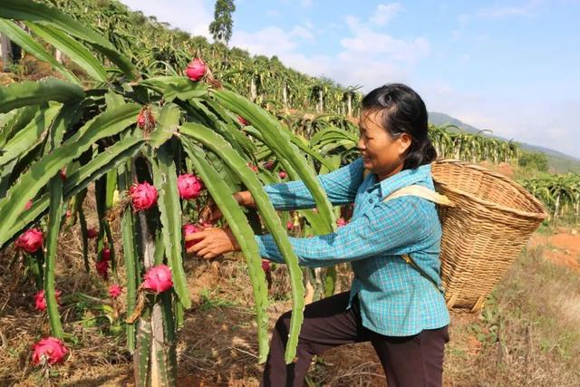 元阳，全球唯一“三遗产”地标！