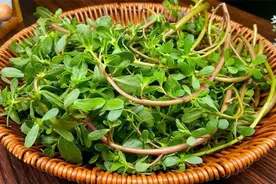 不再为湿疹发愁！四种食物煮水，皮肤一天比一天好！图片