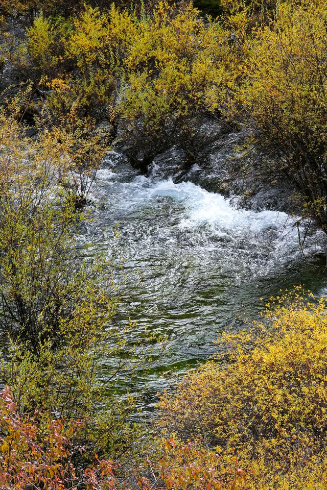 光影札记 | 秋染九寨：一半湖水蓝，一半山林红