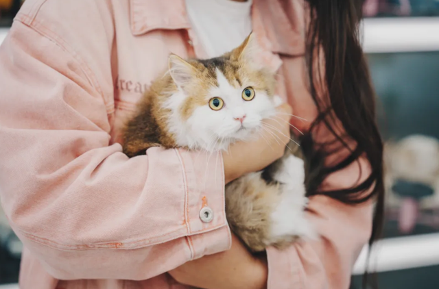 汉交会宝藏玩法大公开！这10个地方让你刷爆朋友圈！