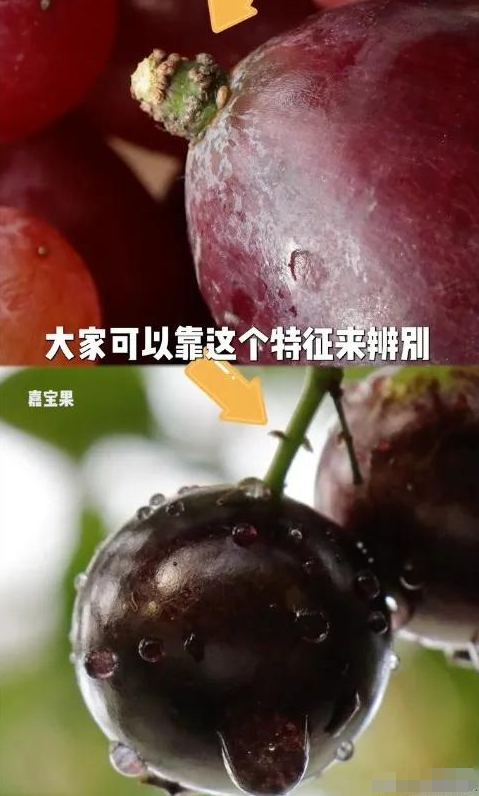 水果也暴雷！央视曝光“水果骗局”，满满添加剂！怪不得身体不好