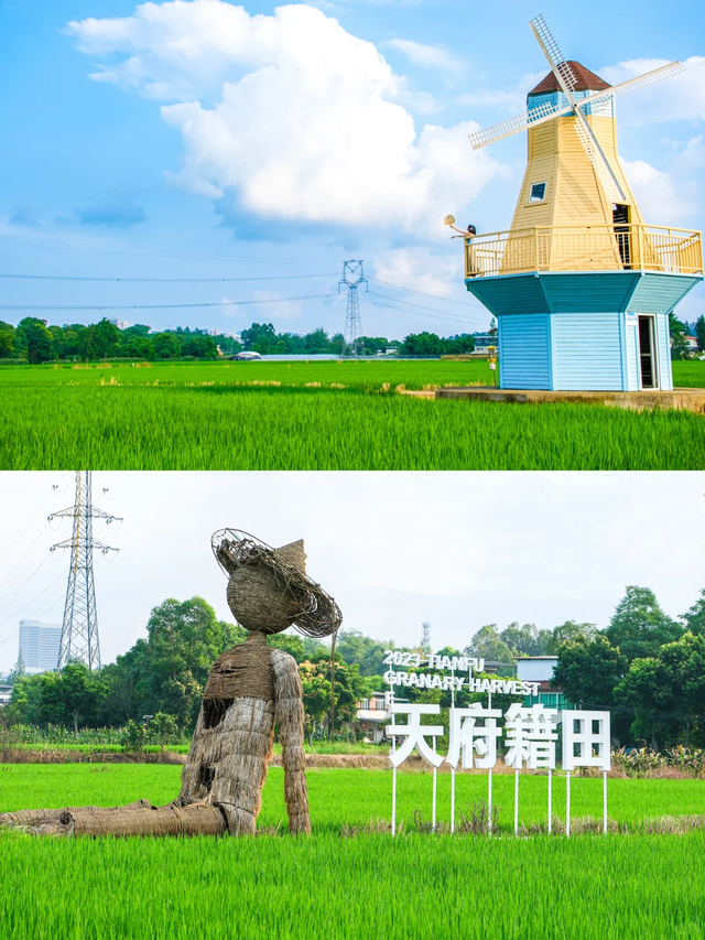 盘点成都天府新区10个必打卡游玩地，地铁可达超方便!
