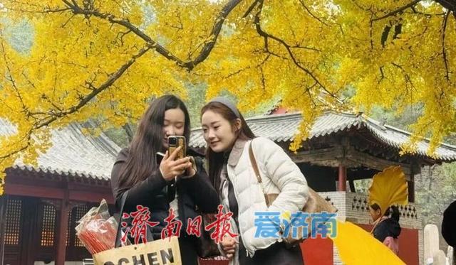 堵车不堵心，人多不误景，云边银杏正温暖风影