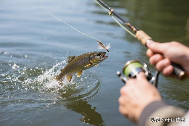 六百年鲁封桥探访指南：从鲁王敕建到烟火人间，解锁鲁南文明密码