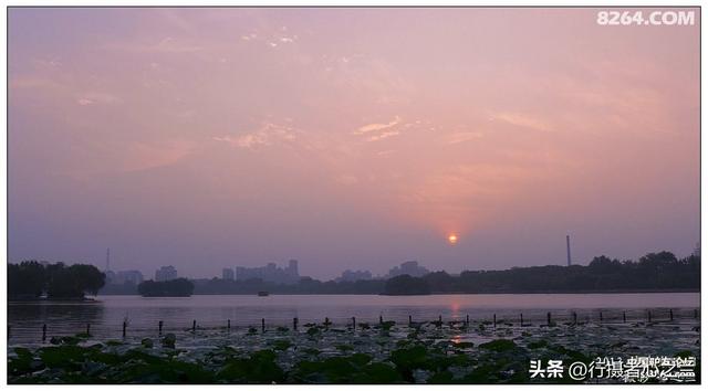山东行游影记（13）—济南大明湖（二）