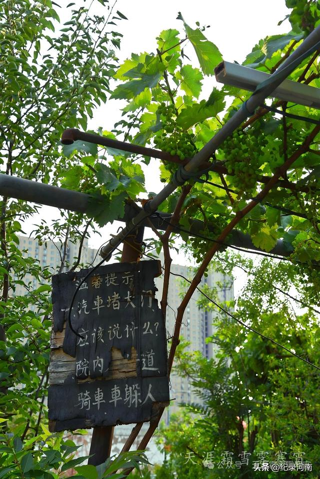 商丘电厂家属院