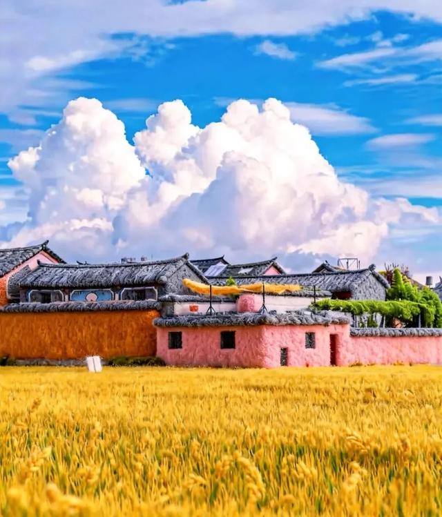 “这里是哪里？”“毛绒绒的大理~~”