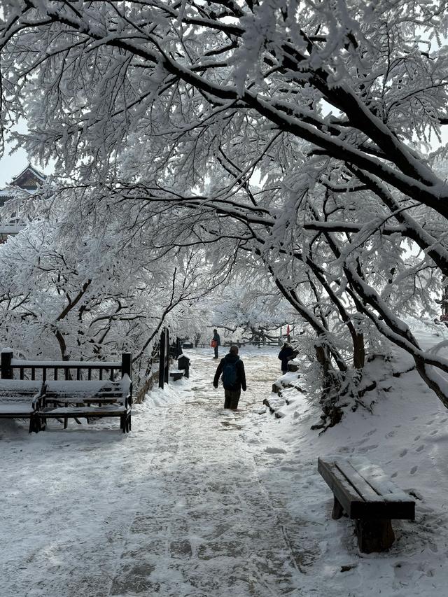 首遇云台山的雪凇美景