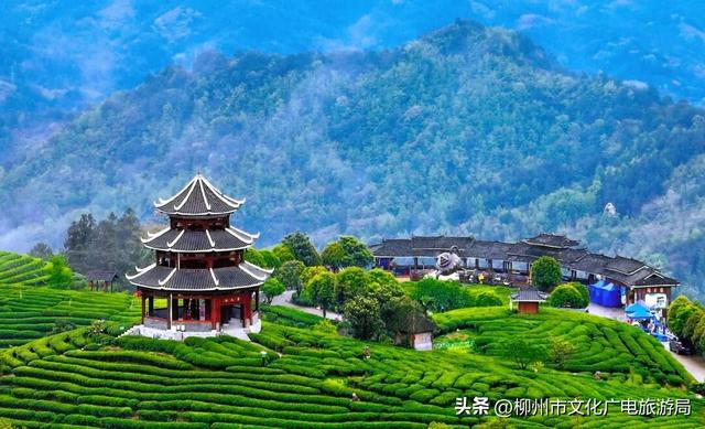 秋游柳州，在三江收藏一片秋天~