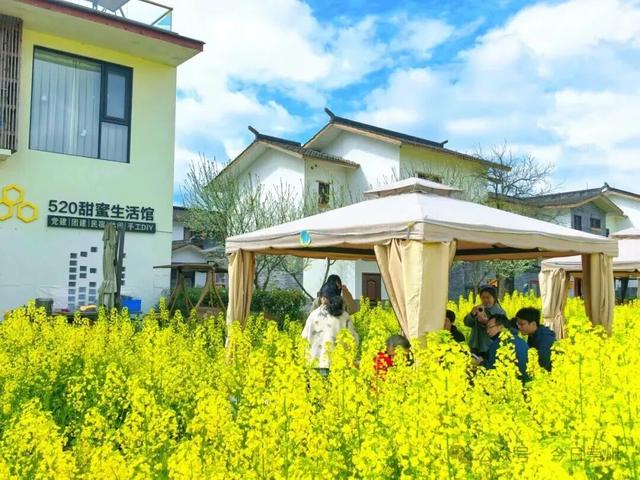 把春天煮进火锅里！崇州的花田火锅点位分布在这里↓