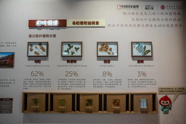 刷屏朋友圈的黟县秋！在这里，慢享“退休式周末”~ | 皖美冬日 | 第十五届安徽国际文化旅游节