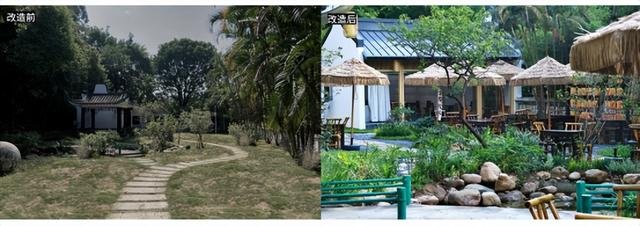 从“园中园”到“创意社交场” 深圳园博园打开城市新生活方式
