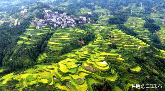 为什么可以反复爱上三江