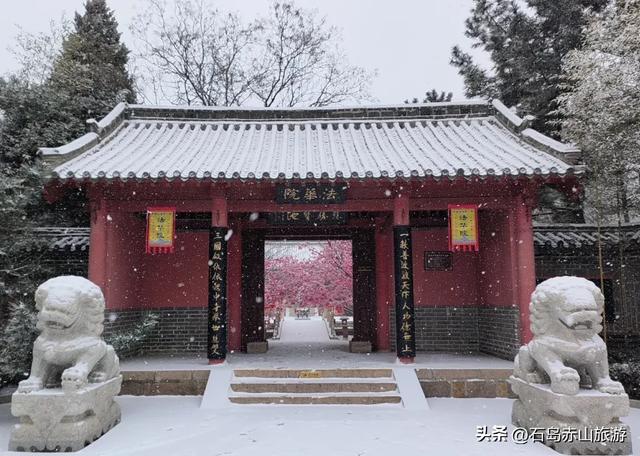 冬访赤山：当山海褪去色彩，风骨与暖意正当时