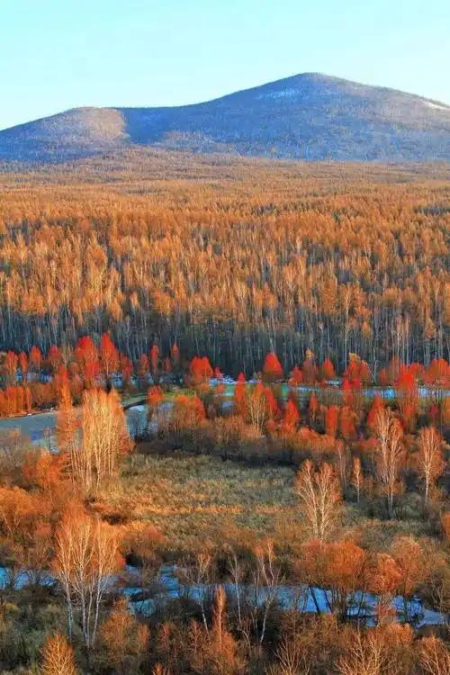 长白山 22 万人挤爆!央媒 200 篇 ,社媒 20 亿曝光!东北秋游火得非偶然