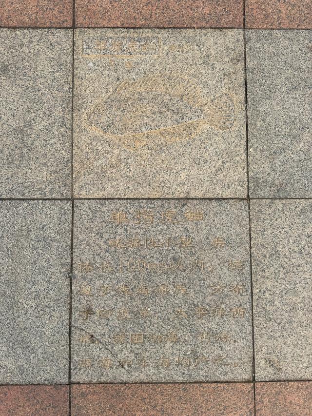 栈道的尽头是实验室