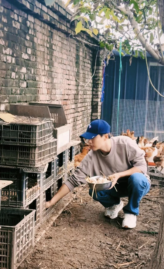 马天宇的院子火了，仅一菜园就圈粉百万，好壮观：一看就不是摆拍