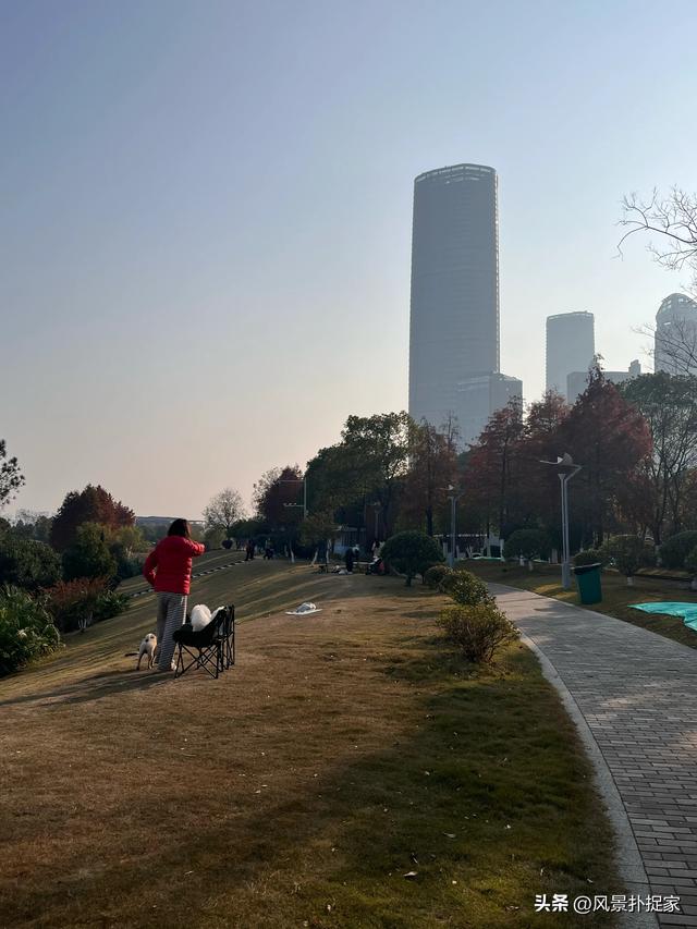 南昌凤凰洲湿地公园，美的不像话！