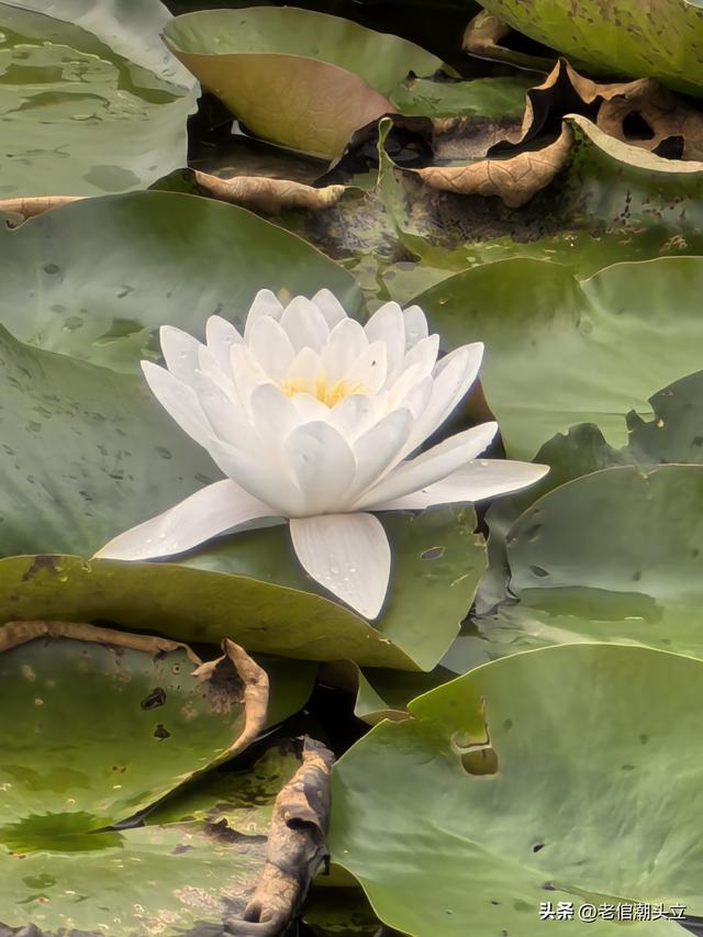 昆明的这个地方还是值得大家去走一走，看一看