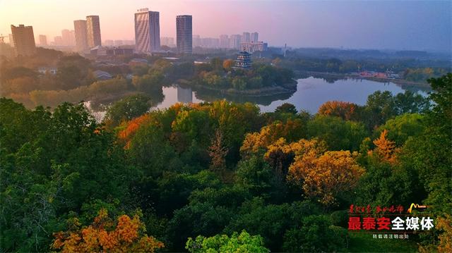 秋日宁阳，定格金色浪漫