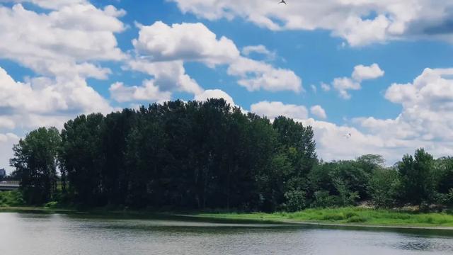 大美泌阳系列之菌都公园：荷香逸韵 秋染园景
