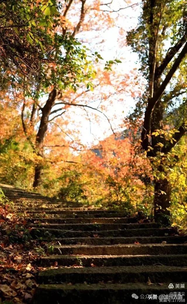 现场报道:这条离市区很近的著名红枫古道已枫情万种,徒步正当时