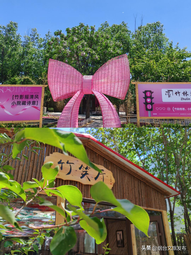 【乐游烟台】新开的！竹林里享清凉，烟台露营地+1
