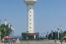 高铁直达！这个小众海边城市，带孩子挖螃蟹、捡贝壳太开心了！图片